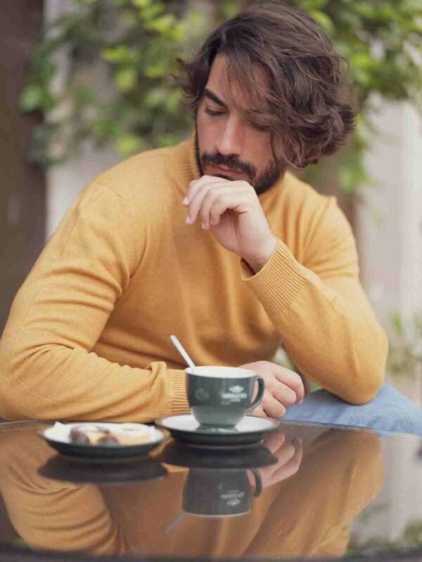 THE TURTLENECK